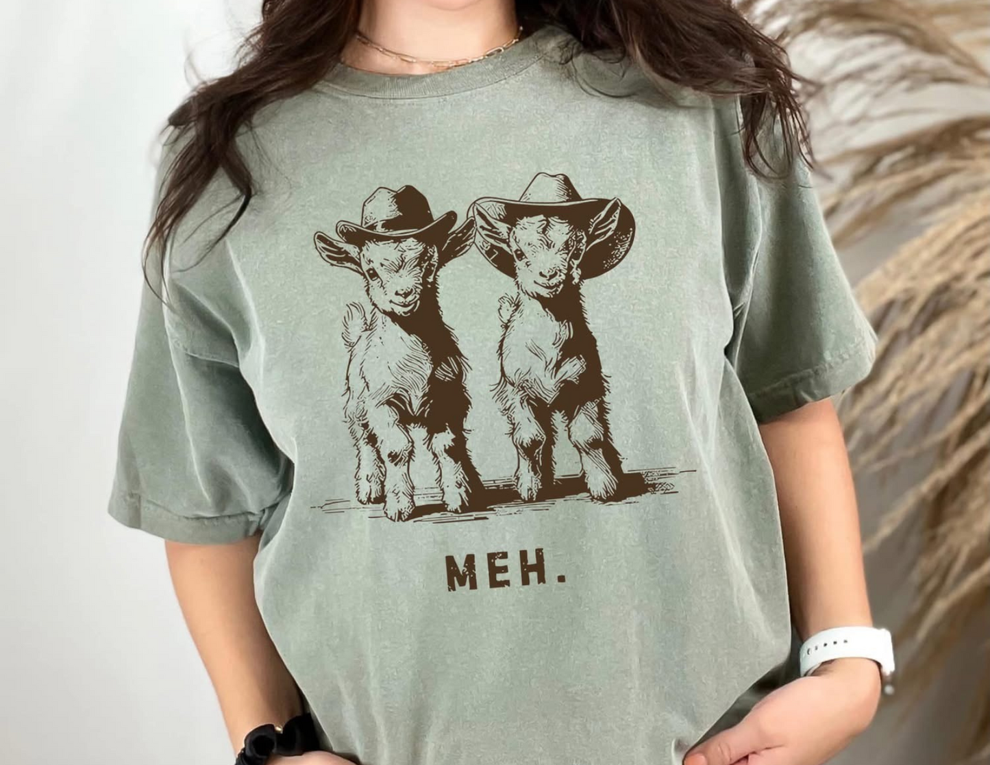 MEH SHEEP
